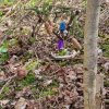 04 Aktion April 25 Feen und Wichtelwald